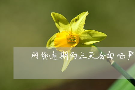 网贷逾期两三天会面临严重后果么 网贷逾期两三天会面临严重后果么