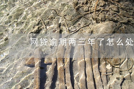 网贷逾期两三年了怎么处理比较好 网贷逾期两三年了怎么处理比较好