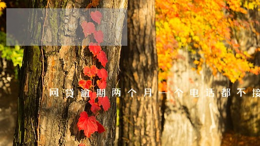 网贷逾期两个月一个电话都不接