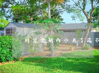 网贷逾期两个月了还不上怎么办 网贷逾期两个月了还不上怎么办