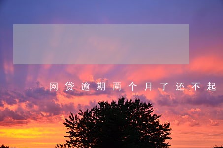 网贷逾期两个月了还不起怎么办 网贷逾期两个月了还不起怎么办