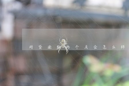 网贷逾期两个月会怎么样 网贷逾期两个月会怎么样