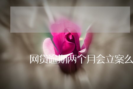 网贷逾期两个月会立案么 网贷逾期两个月会立案么