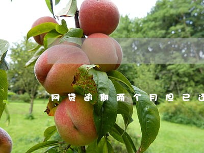 网贷逾期两个月但已还