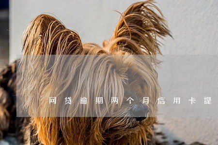 网贷逾期两个月信用卡提额 网贷逾期两个月信用卡提额