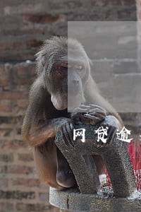 网贷逾期两个月信用卡没有事 网贷逾期两个月信用卡没有事
