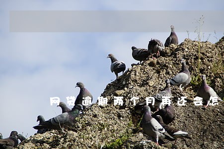 网贷逾期两个月再还会怎么样