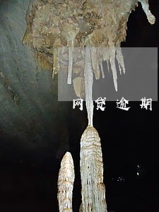 网贷逾期两个月咋办 网贷逾期两个月咋办