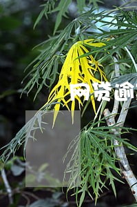 网贷逾期两个月多会有什么后果 网贷逾期两个月多会有什么后果