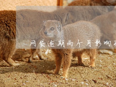 网贷逾期两个月影响买房吗