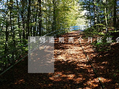 网贷逾期两个月征信会黑吗 网贷逾期两个月征信会黑吗