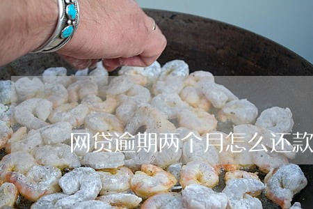 网贷逾期两个月怎么还款 网贷逾期两个月怎么还款