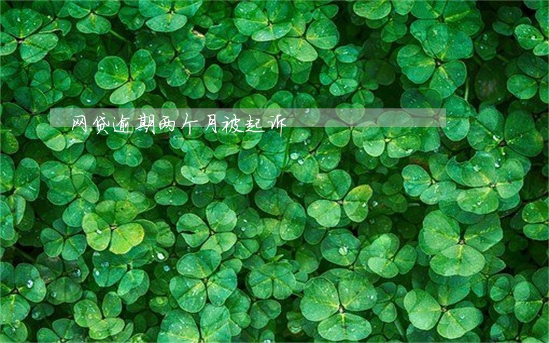网贷逾期两个月被起诉