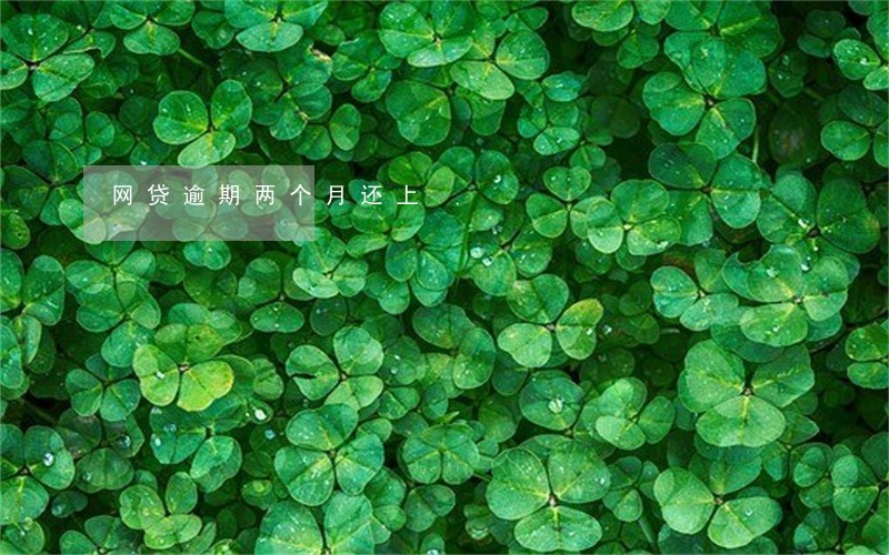 网贷逾期两个月还上 网贷逾期两个月还上