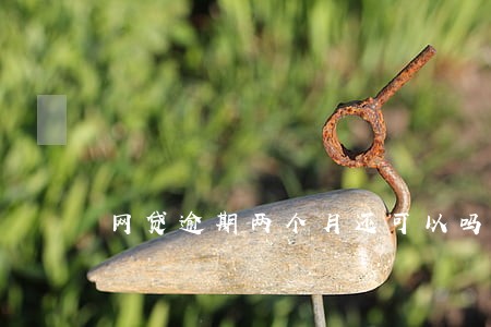 网贷逾期两个月还可以吗 网贷逾期两个月还可以吗