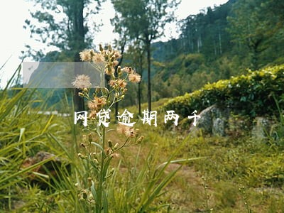 网贷逾期两千 网贷逾期两千