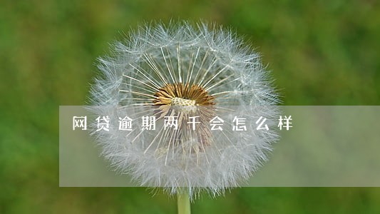 网贷逾期两千会怎么样 网贷逾期两千会怎么样