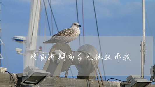 网贷逾期两千元他起诉我