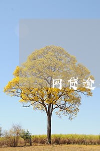 网贷逾期两千块说上门讨要 网贷逾期两千块说上门讨要