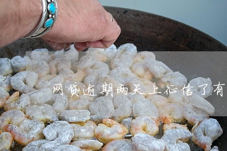 网贷逾期两天上征信了有 网贷逾期两天上征信了有
