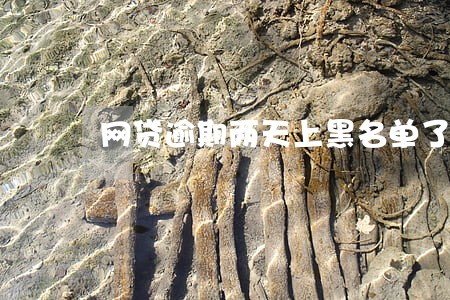 网贷逾期两天上黑名单了 网贷逾期两天上黑名单了