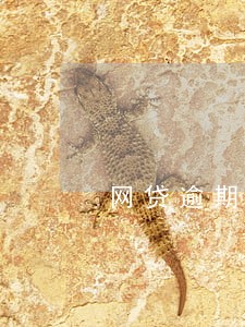 网贷逾期两天会爆通讯录吗 网贷逾期两天会爆通讯录吗