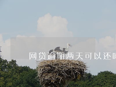网贷逾期两天可以还吗 网贷逾期两天可以还吗