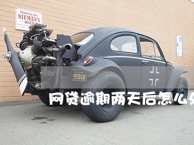 网贷逾期两天后怎么处理 网贷逾期两天后怎么处理