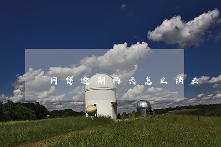 网贷逾期两天怎么消去 网贷逾期两天怎么消去