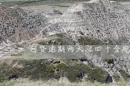 网贷逾期两天涨四十合规吗 网贷逾期两天涨四十合规吗