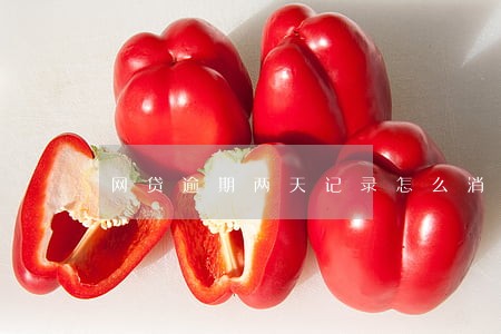 网贷逾期两天记录怎么消除 网贷逾期两天记录怎么消除