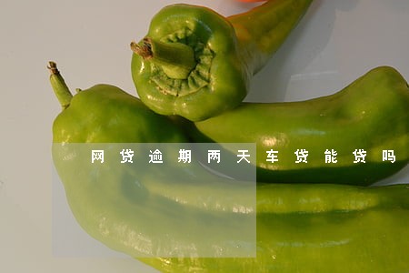 网贷逾期两天车贷能贷吗