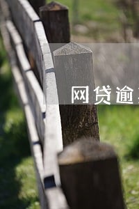网贷逾期两天还了有影响吗