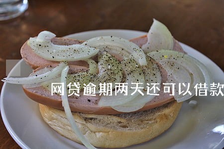 网贷逾期两天还可以借款吗 网贷逾期两天还可以借款吗