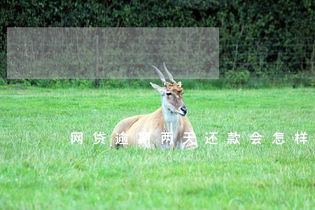 网贷逾期两天还款会怎样 网贷逾期两天还款会怎样