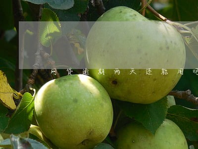 网贷逾期两天还能用吗
