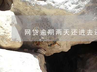网贷逾期两天还进去还能借吗 网贷逾期两天还进去还能借吗