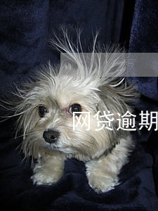 网贷逾期两天需要全额还吗 网贷逾期两天需要全额还吗