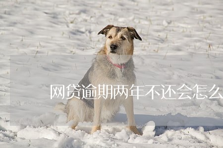 网贷逾期两年不还会怎么样 网贷逾期两年不还会怎么样