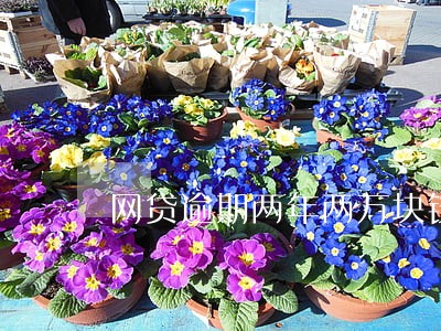 网贷逾期两年两万块钱有什么后果 网贷逾期两年两万块钱有什么后果