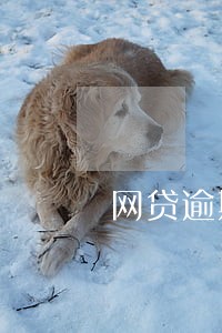 网贷逾期两年了已经联系不上了 网贷逾期两年了已经联系不上了