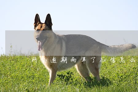 网贷逾期两年了征信怎么解除 网贷逾期两年了征信怎么解除