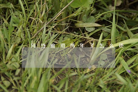 网贷逾期两年了怎么还 网贷逾期两年了怎么还