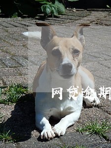 网贷逾期两年了显示呆账 网贷逾期两年了显示呆账