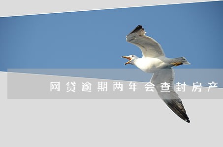 网贷逾期两年会查封房产吗 网贷逾期两年会查封房产吗
