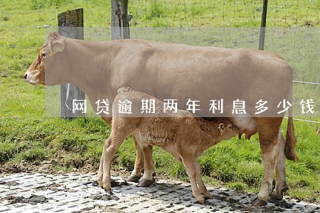 网贷逾期两年利息多少钱 网贷逾期两年利息多少钱