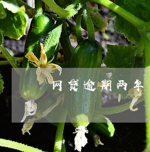 网贷逾期两年又打电话来了 网贷逾期两年又打电话来了