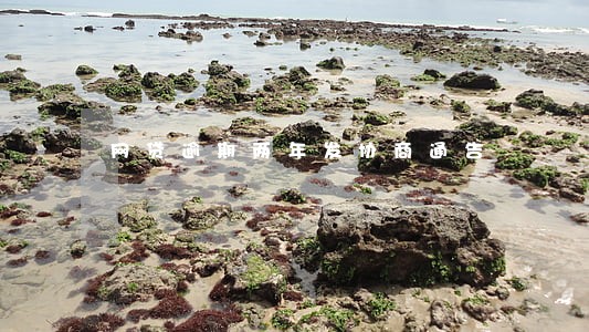 网贷逾期两年发协商通告 网贷逾期两年发协商通告