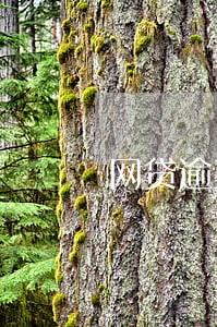 网贷逾期两年发生奇迹 网贷逾期两年发生奇迹