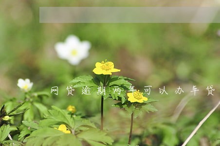 网贷逾期两年可以办车贷吗